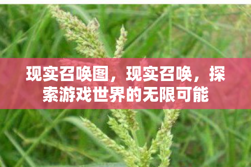 现实召唤图，现实召唤，探索游戏世界的无限可能
