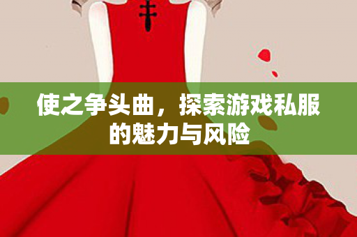 使之争头曲，探索游戏私服的魅力与风险