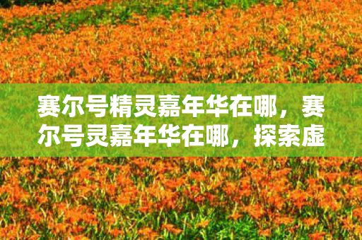 赛尔号精灵嘉年华在哪，赛尔号灵嘉年华在哪，探索虚拟世界的奇妙之旅