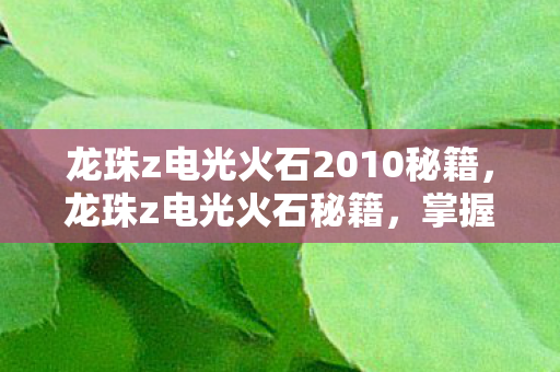 龙珠z电光火石2010秘籍，龙珠z电光火石秘籍，掌握战斗技巧，提升游戏体验