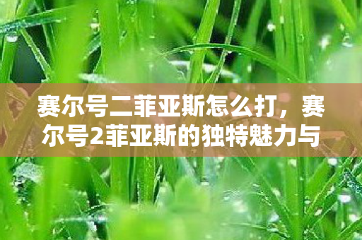赛尔号二菲亚斯怎么打，赛尔号2菲亚斯的独特魅力与游戏策略