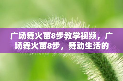 广场舞火苗8步教学视频，广场舞火苗8步，舞动生活的快乐节奏