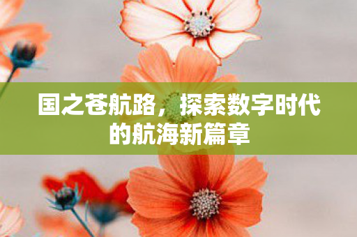 国之苍航路，探索数字时代的航海新篇章