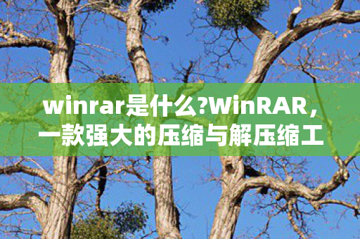 winrar是什么?WinRAR，一款强大的压缩与解压缩工具