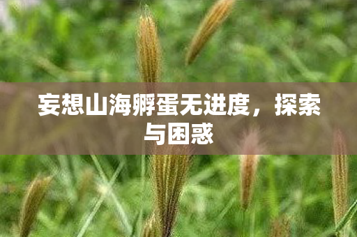 妄想山海孵蛋无进度,探索与困惑 妄想山海孵蛋无进度,探索与困惑