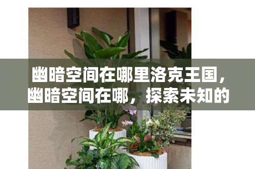 幽暗空间在哪里洛克王国，幽暗空间在哪，探索未知的网络深渊