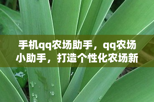 手机qq农场助手，qq农场小助手，打造个性化农场新体验