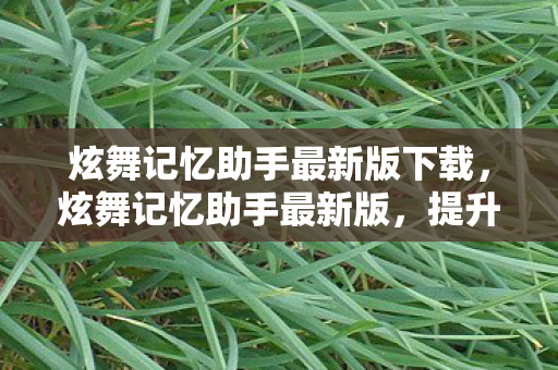 炫舞记忆助手最新版下载，炫舞记忆助手最新版，提升游戏体验的必备神器