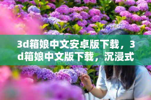 3d箱娘中文安卓版下载，3d箱娘中文版下载，沉浸式体验与无限创意的完美结合