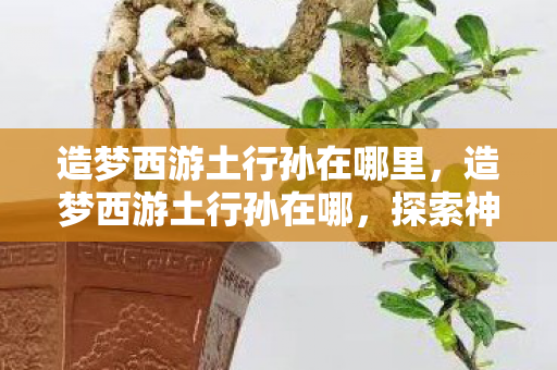 造梦西游土行孙在哪里，造梦西游土行孙在哪，探索神秘副本的旅程