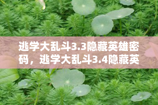 逃学大乱斗3.3隐藏英雄密码，逃学大乱斗3.4隐藏英雄密码揭秘，解锁未知英雄之旅
