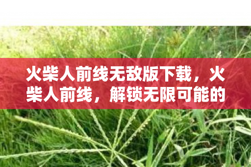 火柴人前线无敌版下载，火柴人前线，解锁无限可能的冒险之旅