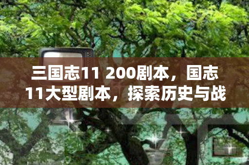 三国志11 200剧本，国志11大型剧本，探索历史与战略的深度交融