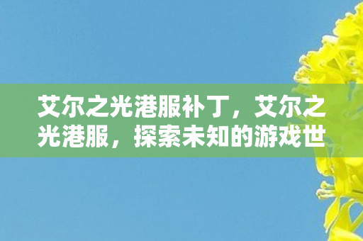 艾尔之光港服补丁，艾尔之光港服，探索未知的游戏世界，尽享独特魅力