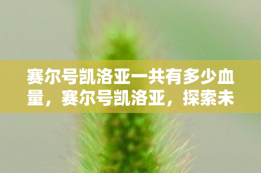 赛尔号凯洛亚一共有多少血量，赛尔号凯洛亚，探索未知，挑战极限