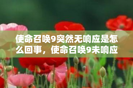使命召唤9突然无响应是怎么回事，使命召唤9未响应，深度解析游戏卡顿与崩溃的幕后原因