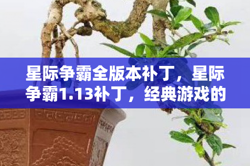 星际争霸全版本补丁，星际争霸1.13补丁，经典游戏的重生与革新