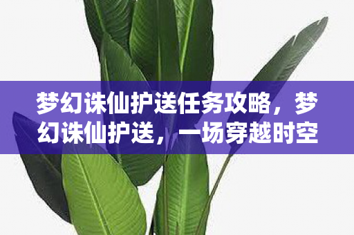 梦幻诛仙护送任务攻略，梦幻诛仙护送，一场穿越时空的奇幻之旅
