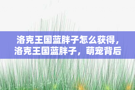 洛克王国蓝胖子怎么获得，洛克王国蓝胖子，萌宠背后的故事与游戏乐趣
