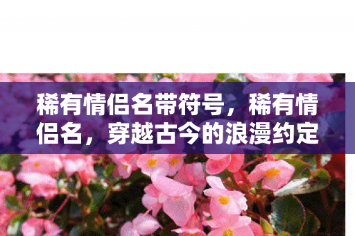稀有情侣名带符号，稀有情侣名，穿越古今的浪漫约定