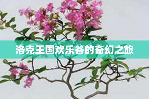 洛克王国欢乐谷的奇幻之旅