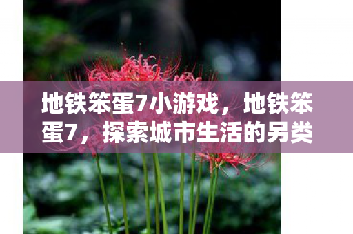 地铁笨蛋7小游戏，地铁笨蛋7，探索城市生活的另类视角