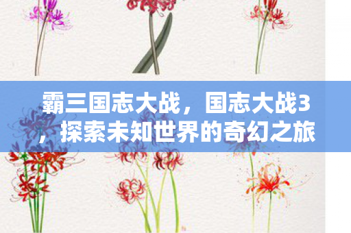 霸三国志大战，国志大战3，探索未知世界的奇幻之旅
