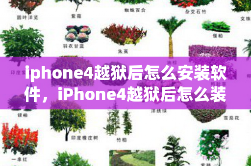 iphone4越狱后怎么安装软件，iPhone4越狱后怎么装软件