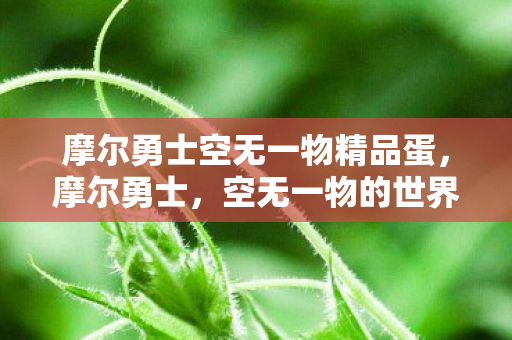 摩尔勇士空无一物精品蛋，摩尔勇士，空无一物的世界