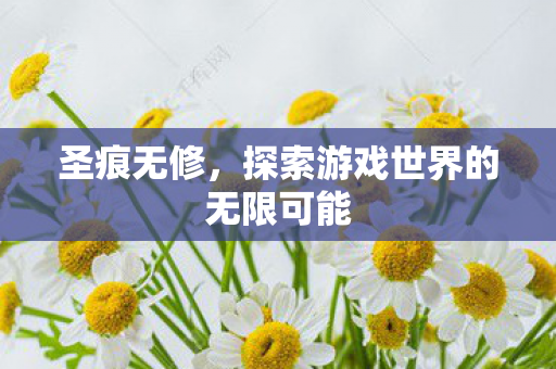 圣痕无修，探索游戏世界的无限可能