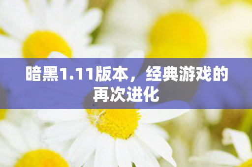 暗黑1.11版本，经典游戏的再次进化