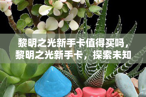 黎明之光新手卡值得买吗，黎明之光新手卡，探索未知世界的钥匙