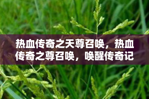 热血传奇之天尊召唤，热血传奇之尊召唤，唤醒传奇记忆的召唤之旅