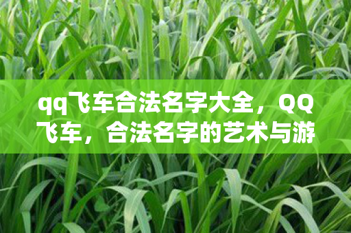 qq飞车合法名字大全，QQ飞车，合法名字的艺术与游戏乐趣的无限延伸