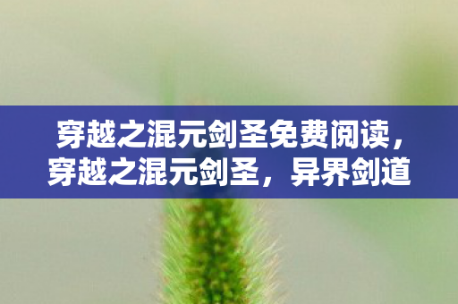 穿越之混元剑圣免费阅读，穿越之混元剑圣，异界剑道传奇