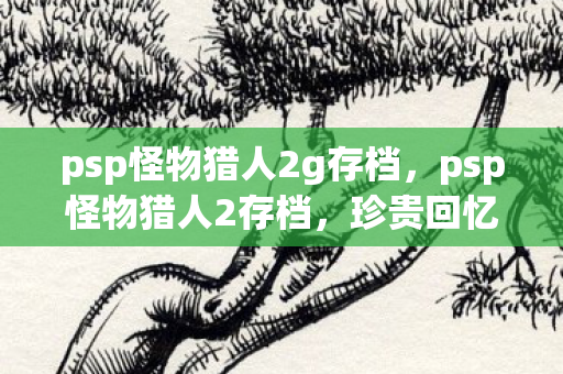 psp怪物猎人2g存档，psp怪物猎人2存档，珍贵回忆与独特体验