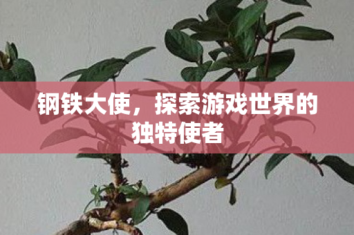 钢铁大使，探索游戏世界的独特使者