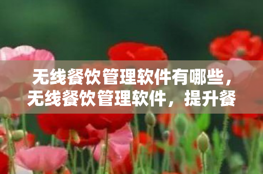无线餐饮管理软件有哪些，无线餐饮管理软件，提升餐饮管理效率的新利器