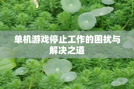 单机游戏停止工作的困扰与解决之道