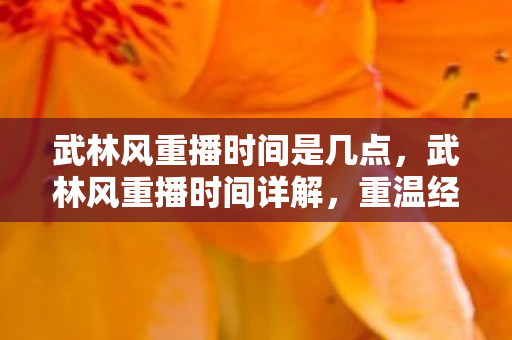 武林风重播时间是几点，武林风重播时间详解，重温经典对决，不错过每一刻精彩