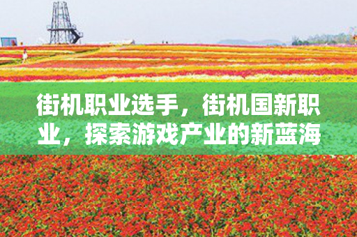 街机职业选手，街机国新职业，探索游戏产业的新蓝海