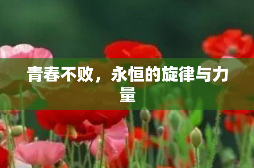 青春不败，永恒的旋律与力量
