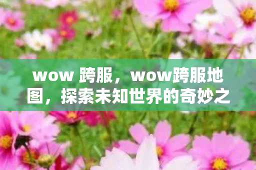 wow 跨服，wow跨服地图，探索未知世界的奇妙之旅