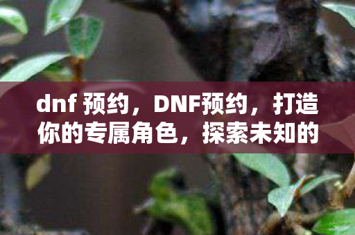 dnf 预约，DNF预约，打造你的专属角色，探索未知的游戏世界
