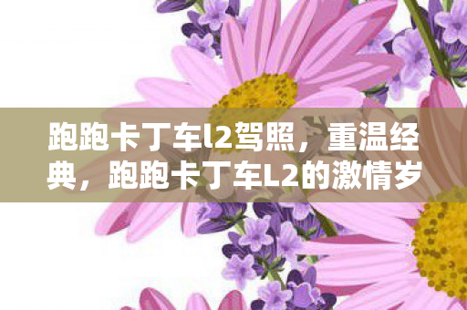 跑跑卡丁车l2驾照，重温经典，跑跑卡丁车L2的激情岁月