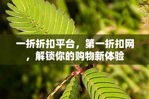 一折折扣平台，第一折扣网，解锁你的购物新体验