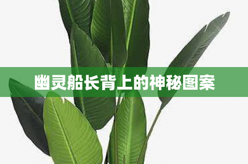 幽灵船长背上的神秘图案 幽灵船长背上的神秘图案