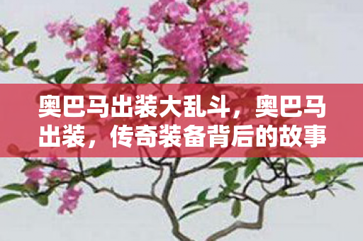奥巴马出装大乱斗，奥巴马出装，传奇装备背后的故事