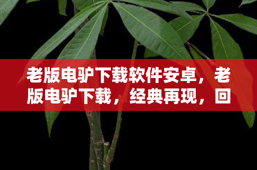 老版电驴下载软件安卓，老版电驴下载，经典再现，回忆与情怀的交织