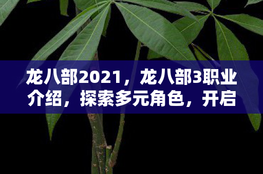 龙八部2021，龙八部3职业介绍，探索多元角色，开启奇幻之旅
